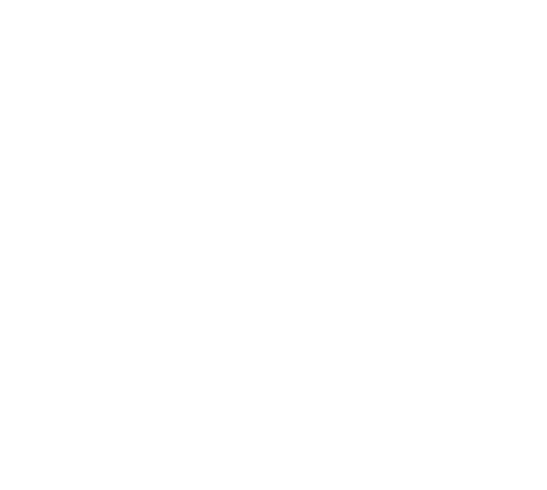 The Net